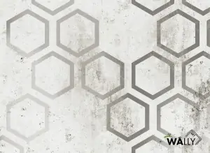  Carta da parati wallpaper Range