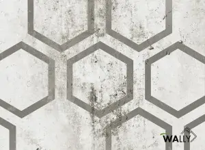  Carta da parati wallpaper Range