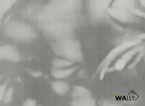  Carta da parati wallpaper Shade