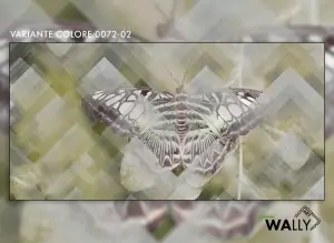 Carta da parati wallpaper Moth