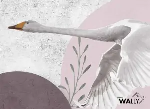 Carta da parati wallpaper Aves