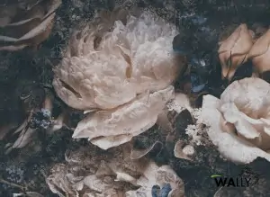 Carta da parati wallpaper Phoebe