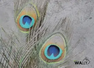 Carta da parati wallpaper Peacock