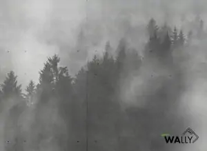 Carta da parati wallpaper Concrete Wood