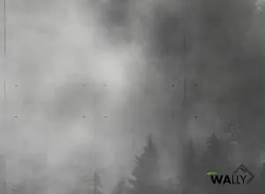 Carta da parati wallpaper Concrete Wood