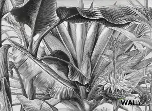 Carta da parati wallpaper Melville