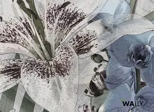 Carta da parati wallpaper Le Jardin