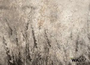 Carta da parati wallpaper Soft