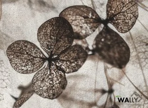 Carta da parati wallpaper Giselle (Variante Colore 01)