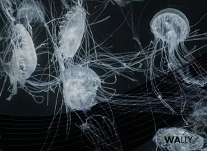 Carta da parati wallpaper Abisso limited edition