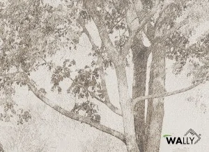 Carta da parati wallpaper Venus (Variante Colore 01)