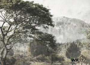 Carta da parati wallpaper Charmant (Variante Colore 01)