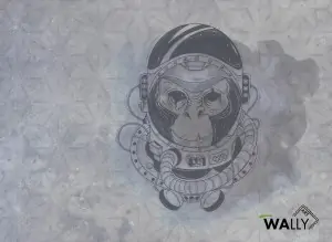 Carta da parati wallpaper Space Monkey