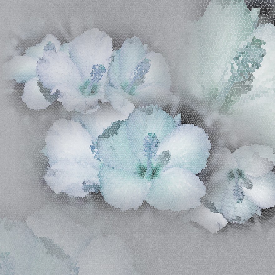 Colore 0100-01