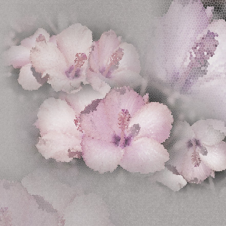 Colore 0100-02