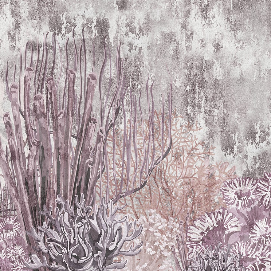 Colore 0239-01