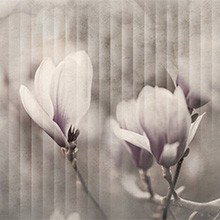 Colore 0319-03
